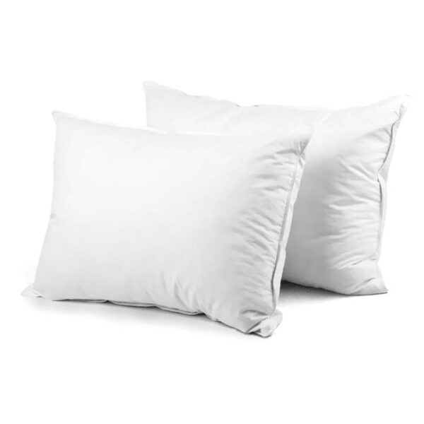 Giselle Bedding Goose Feather Down Pillow Twin Pack