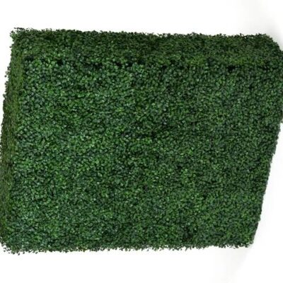 Portable Boxwood Hedge UV Stabilised 75cm High 100cm Long