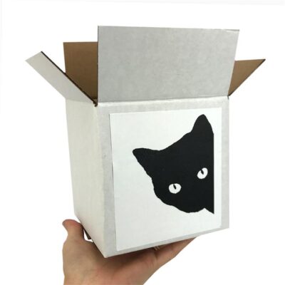 Cat Lover Gift Box