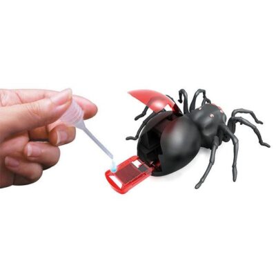 Salt Water Spider Kit