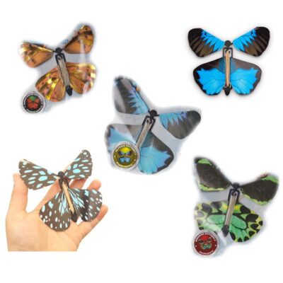 Wind Up Australian Butterfly 5 Pack