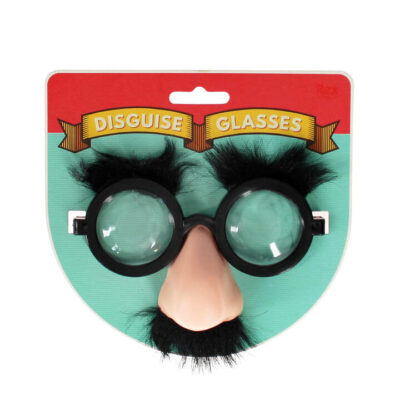 Disguise Glasses