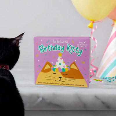 Birthday Kitty Cat Birthday Kit