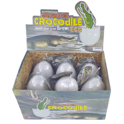 6 Pack Hatching Crocodile Eggs